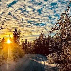 Meet your Posher, Sandra